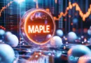 Here’s why Maple Finance’s SYRUP token is surging