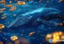 What DOGE and Binance Coin whales are buying: Can Lightchain AI 100x?