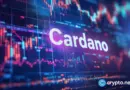 A coiled spring? Whales accumulate, price rebounds