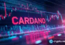 Cardano holds key support as developer activity tops Ethereum
