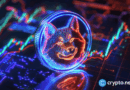 Dogecoin price stuck as whale accumulation continues