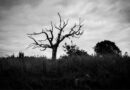 Crypto Glut Turns to Graveyard as 1.8M Tokens Died in Q1 2025