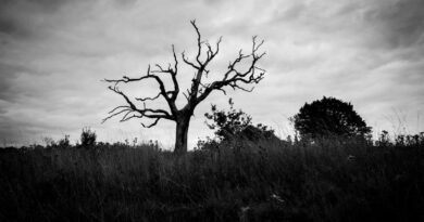 Crypto Glut Turns to Graveyard as 1.8M Tokens Died in Q1 2025