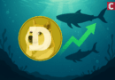 Whales Buy 1B DOGE in a Month — Dogecoin Rally Ahead?