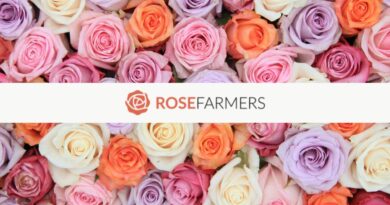 Surprise Mom with two dozen long-stem roses for just $20