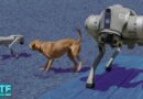 My first day with Unitree’s Go2 Pro robot dog