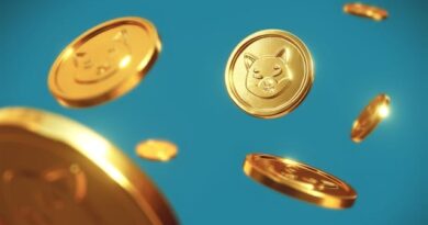 MoonBag Soars: Top Crypto Presale in June 2024 Boasts High ROI and Referral Rewards