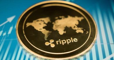 Ripple’s Failed Bid Explained: Expert Sees Circle’s $10B IPO Play Brewing