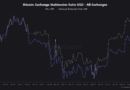 Bitcoin Exchange Stablecoins Ratio Surges—A Warning For Investors?