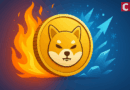 SHIB Burn Rate Soars 6,500% — Will the Rally Resume?