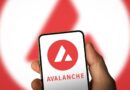 Solv, Avalanche and Elixir Launch Real-World Yield for Bitcoin