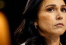 Tulsi Gabbard Reused the Same Weak Password on Multiple Accounts for Years