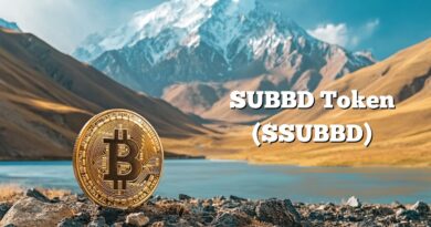 SUBBD Token ($SUBBD) Rises as Central Asia Embraces Crypto Payments