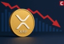 Expert Says XRP Overvalued but Not Worthless as Network Slows