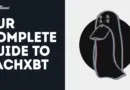 A Complete Guide to ZachXBT: The Web3 Investigator