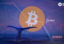 Bitcoin Whale Sells 80000 BTC Worth $9 Billion