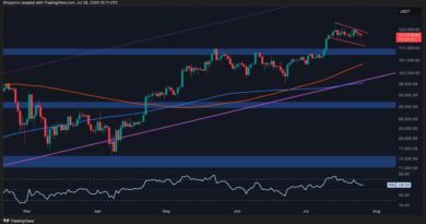 Bitcoin Price Analysis: Is a Crash to $111K Imminent for BTC?