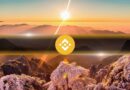 BNB Hits New High, Meme Stocks Soar, ETH ETFs See Inflows: Binance Report