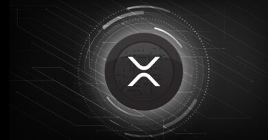 Wellgistics Health Integrates XRP in Payments & Treasury – SEC S‑1 Filing Explained