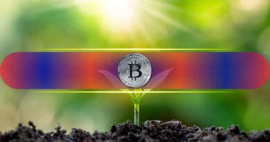 Less Than 1 BTC Might Be Enough to Retire: Here’s Why