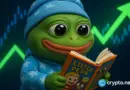 Little Pepe aims to explode 21375% as Bonk seeks to overtake Pepe Coin and Shiba Inu