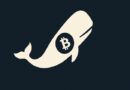 Bitcoin climbs to $117K after Galaxy completes 80K BTC sale for early whale