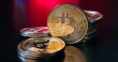 Harvard economist says his $100 Bitcoin prediction was a wrong call