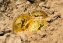 Hacker still holds $14 billion in stolen Bitcoin from massive 2020 LuBian attack: Arkham