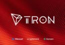 $916M revenue and $81B USDT supply in H1 2025