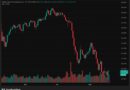 [LIVE] XRP, BNB, ADA Top Crypto Gainers: Altcoin Trio Pumps Despite Market Setback