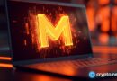 Qubic crypto surges 25% after the Monero attack