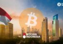 Bitcoin Indonesia | Adding Bitcoin to National Reserves
