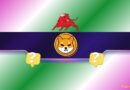 2 Reasons Why the Shiba Inu (SHIB) Price Might Rally Soon