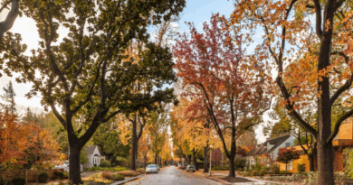The hidden cost of living amid Mark Zuckerberg’s $110M compound