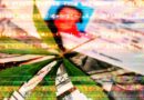 Highly Sensitive Medical Cannabis Patient Data Exposed by Unsecured Database