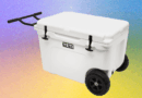 11 Best Coolers WIRED Tested for Every Budget, Any Situation (2025)