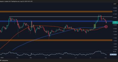 These Are XRP’s Next Defense Lines After a Breakdown Below $3