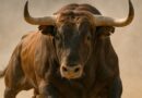 Analysts See Multi-Year Crypto Bull Market as Institutional Floodgates Swing Open