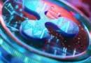 XRP faces renewed pressure as whale outflows spike