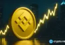 China Renaissance commits $100m to BNB in landmark treasury move