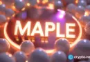 Maple launches yield-bearing collateral for perps on Drift