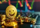 This memecoin is making moves in the current crypto cycle
