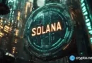 SOL favored, but could Pepeto be the next big memecoin?