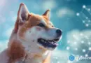 Traders memecoin pick for 2025, and it’s not DOGE or SHIB