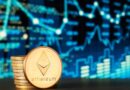 Ether ETFs Extend Dominance With Another Half-Billion Inflow