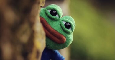 Investor Sues Pepe Meme Creator Over Role in North Korean NFT Hack
