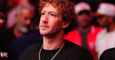 Meta is developing a new image and video model for a 2026 release, report says