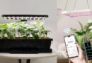 The Best Plant and Gardening Gifts From LetPot (2025)