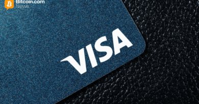 Visa Expands US Settlement Rails With USDC for Institutional Payments