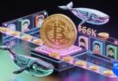 Bitcoin at $66K as Whale Addresses Surge – A Signal for NFT Collectors